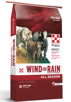 Purina Wind and Rain All Season Cattle Feed