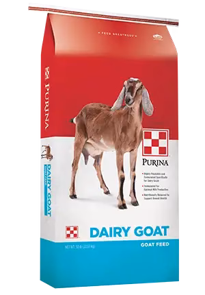 Purina Dairy Goat Parlor 16