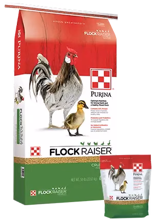 Purina Flock Raiser Chicken Feed Crumbles