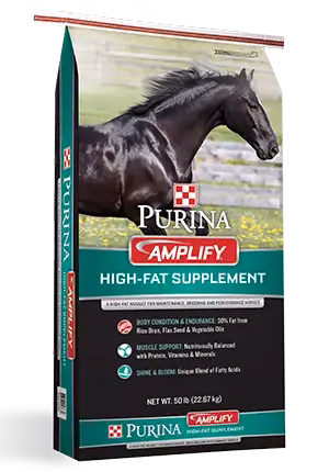 Purina Amplify High-Fat Horse Supplement