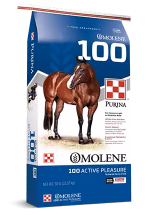 Purina Omolene 100 Active Pleasure Textured Horse Feed