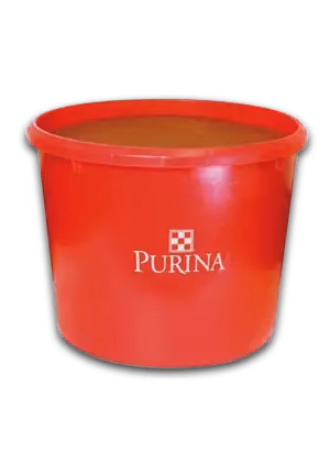 purina wind and rain mineral tub