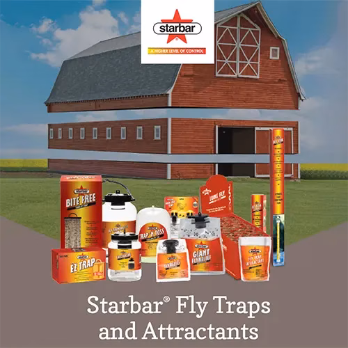 starbar quickstrike fly traps king feed wimberley