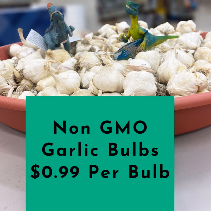 non gmo garlic bulbs
